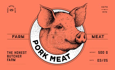 Illustration for Pork, pig head, meat label. Butchery pork pig head meat shop, text, typography. Template Meat Tag Label. Vintage retro print, tag, label with pig sketch ink pencil style drawing. Illustration - Royalty Free Image