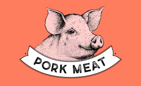 Illustration for Pork, pig head, meat label. Template Meat Tag Label. Vintage retro print, tag, label with pig sketch ink pencil style drawing. Butchery pork pig head meat shop, text, typography. Vector Illustration - Royalty Free Image