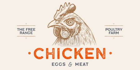 Illustration for Chicken, hen head. Label, tag, chicken sketch ink pencil style drawing, engrave old school style. Sketch artwork silhouette chicken, hen head. Side view profile. Vector Illustration - Royalty Free Image