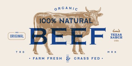 Illustration for Cow, bull, beef meat, tag label. Template Meat Beef Tag Label. Vintage cow print, tag, label sketch ink pencil drawing. Butchery cow, bull, beef meat shop, text, typography. Vector Illustration - Royalty Free Image
