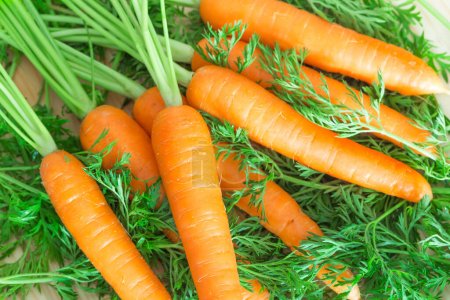 Bunch of fresh carrots on wooden background
