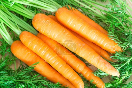 Photo for Fresh and sweet carrots on wooden table. - Royalty Free Image