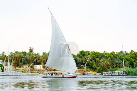 Photo for Felucca, traditional wooden sailboat on Nile, Egypt. - Royalty Free Image