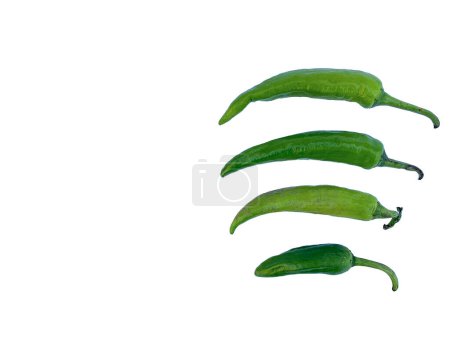 Photo for Green chili. Hot Green chili. Fresh vegetable. - Royalty Free Image