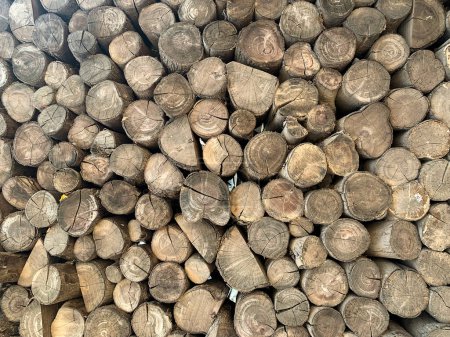 Téléchargez les photos : Empilement de billes de bois texture de fond - en image libre de droit