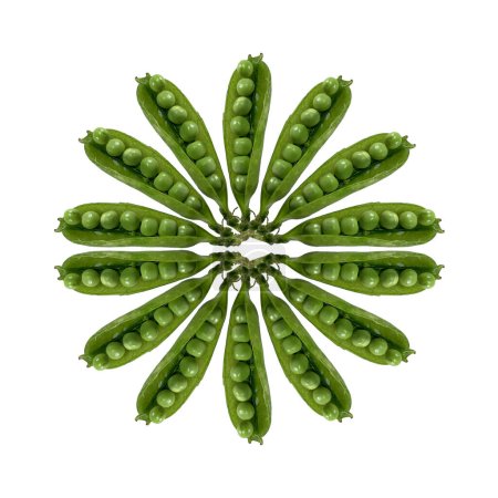 Photo for Young peas circle flower art close up on the white. Healthy food. Fresh green peas. Pods of green organic peas. - Royalty Free Image