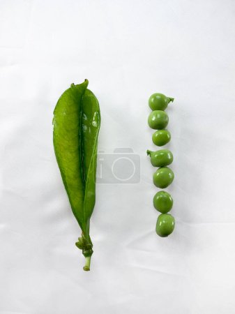 Photo for Fresh green empty peas and vegetable beans isolated on a white cotton cloth background. - Royalty Free Image