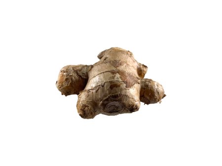 Photo for Fresh Asian ginger rhizome isolated on white background. - Royalty Free Image