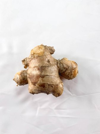 Téléchargez les photos : Rhizome de gingembre asiatique frais isolé sur fond blanc. - en image libre de droit
