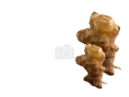 Téléchargez les photos : Rhizome de gingembre asiatique frais isolé sur fond blanc. - en image libre de droit