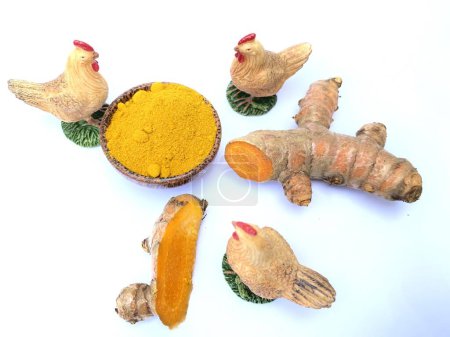 Photo for Curcuma longa (turmeric) offers significant health benefits for poultry, enhancing immune function, digestive health, and disease resistance. Its anti-inflammatory and antioxidant properties contribute to overall well-being in chickens and birds - Royalty Free Image