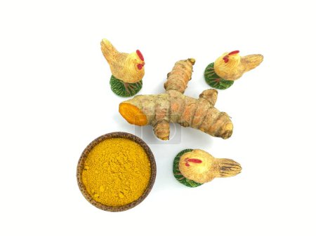 Photo for Discover the health synergy of Curcuma zanthorrhiza, Curcuma longa, Kaempferia galanga, and Zingiber officinale in poultry care. Our image highlights their combined benefits in disease treatment and immune enhancement for chickens - Royalty Free Image