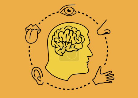 Concepto de los 5 sentidos con el cerebro rodeado de una nariz para el olfato, un ojo para la vista, una lengua para el gusto, un oído para la audición y una mano para el tacto.