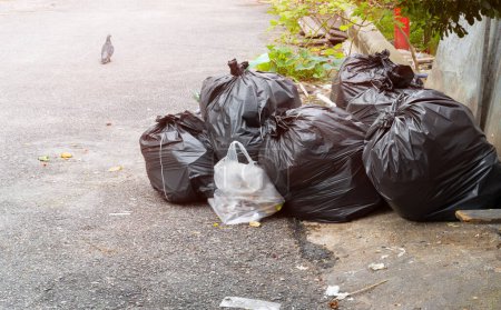 Photo for Pile of garbage black bag roadside in city - Royalty Free Image