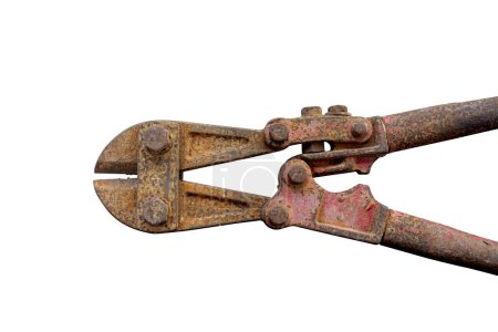 Photo for Old rusty  bolt cutter  isolated on white background.with clipping pat - Royalty Free Image
