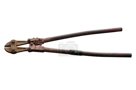 Photo for Old rusty bolt cutter isolated on white background.with clipping pat - Royalty Free Image