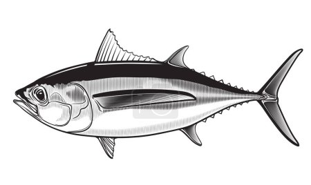 Tuna yellow fin big eye simple emlem isolated on white background . Vector illustration 