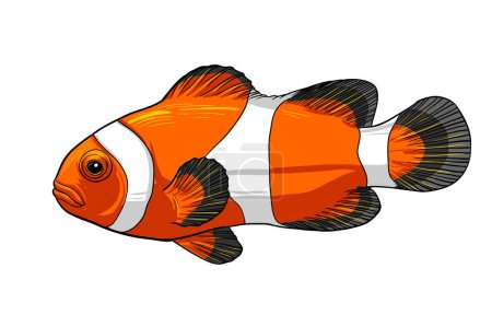 Illustration pour Icône vectorielle de poisson-clown sur fond bleu. Illustration de poissons anémones isolés sur bleu. Design de style réaliste poisson exotique, conçu pour le web et l'application. Eps 10 - image libre de droit