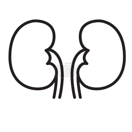 Illustration for Kidney vector illusrtation design logo template - Royalty Free Image