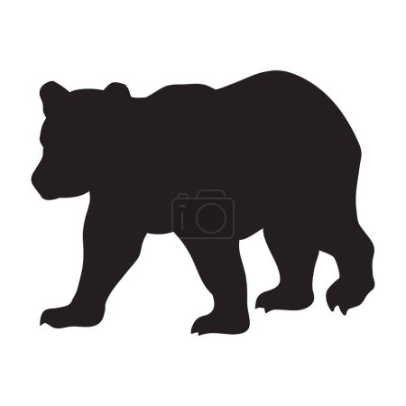 Silueta de oso aislada sobre fondo blanco, ilustración vectorial 