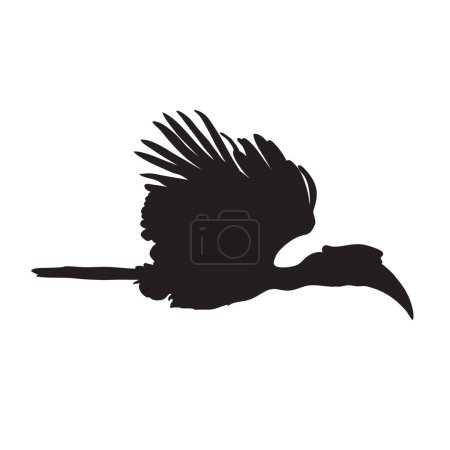Illustration for Great Hornbill flying Silhouette Isolated on White Background. Vector Illustration - Royalty Free Image