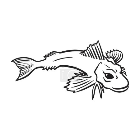 Illustration for Red Gurnard Fish. Vector illustration - Royalty Free Image