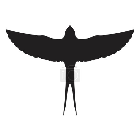 swallow bird flying silhouette vector
