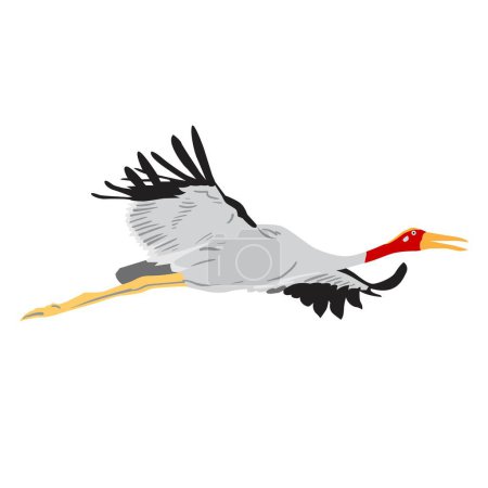 Sarus crane taking flight. flat vector. Vector illustration.
