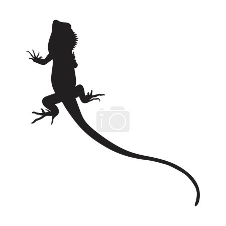 Lizard Silhouette ,Vector illustration black color 