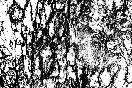 Tree bark texture background vector,Black and white background 