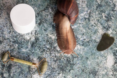 Achatina snail for cosmetic and medical procedures for skin regeneration, rejuvenation, a white box for cream, a figured pebble and a roller for facial massage on a glossy blue textured background.