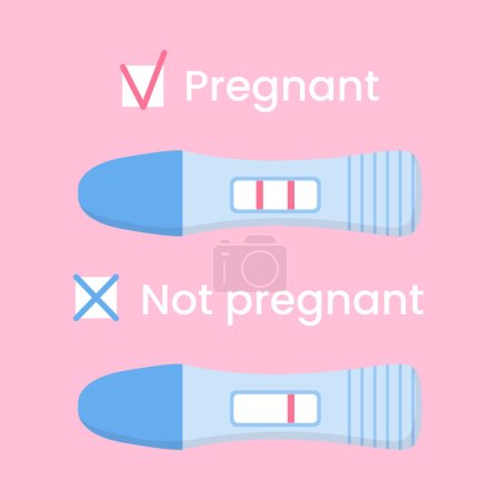 Vector positive and negative pregnancy tests. Home early detection pregnancy hormone. Female fertility, planning family concept.