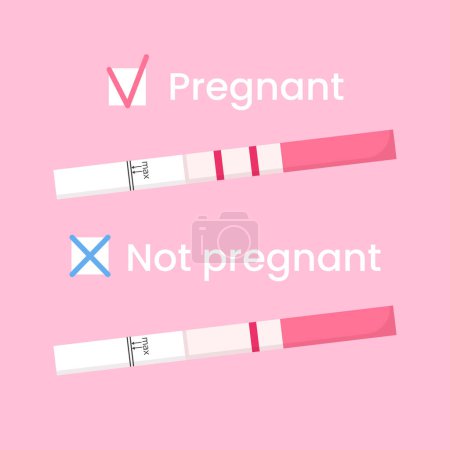 Vektorpositive und negative Schwangerschaftstests. Home Früherkennung Schwangerschaftshormon. Weibliche Fruchtbarkeit, Familienplanung.