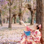 lady in traditional kimono dress holding book and looking cherry blossom in spring festival.