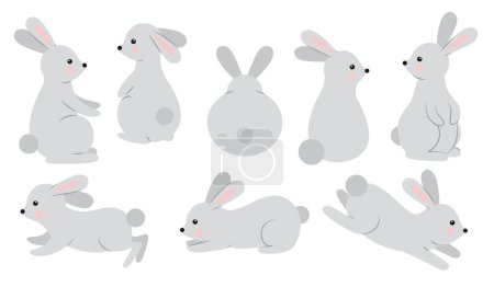 Conjunto de conejos en diferentes poses. Conjunto de conejos grises sobre fondo blanco.