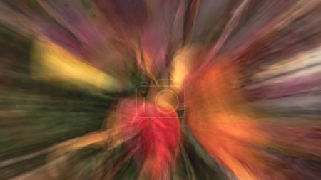 Photo for Autumn colors,abstract radial blur of blueberry bush leaves with zoom effect. - Royalty Free Image