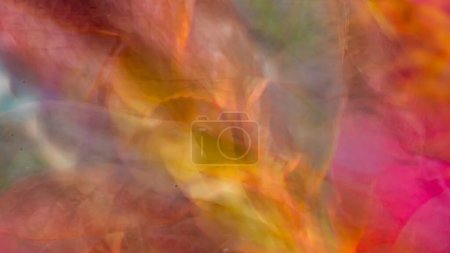 Photo for Autumn colors,abstract radial blur of blueberry bush leaves with zoom effect. - Royalty Free Image