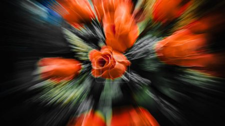 Foto de Zooming flores, flores abstractas, colores de flores, colores de otoño. - Imagen libre de derechos