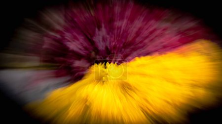 Foto de Zooming flores, flores abstractas, colores de flores, colores de otoño. - Imagen libre de derechos