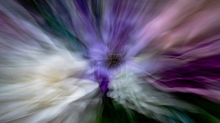 Téléchargez les photos : Zoomer fleurs, fleurs abstraites, couleurs de fleurs, couleurs d'automne. - en image libre de droit
