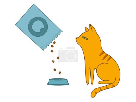 Téléchargez les illustrations : Un drôle de chat roux est assis à côté d'un bol vide et regarde comment la nourriture y est versée. Illustration vectorielle de dessin animé isolé sur fond blanc - en licence libre de droit