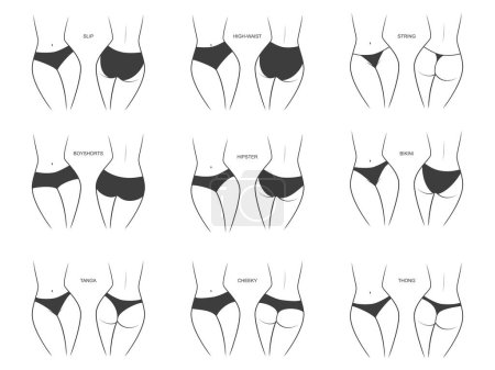 Illustration for Collection of silhouettes of a female figure in a different panties - front and back view. Vector illustration isolated on white background - Royalty Free Image