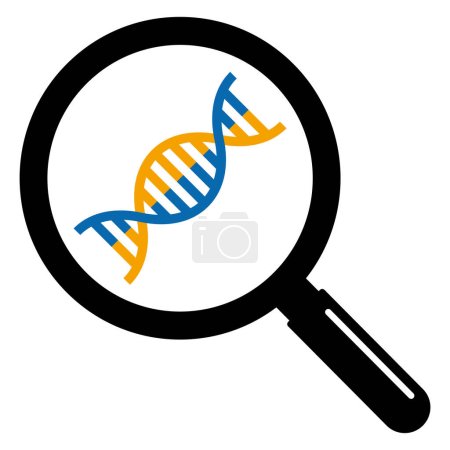 Illustration for Simple vector icon illustration of DNA magnified with a loupe - Royalty Free Image