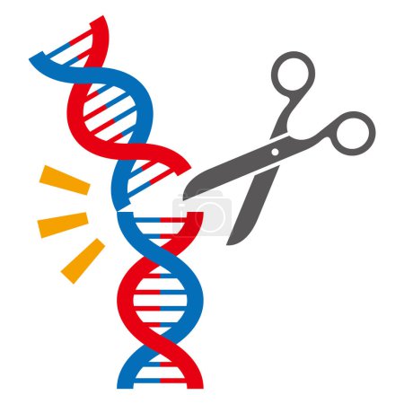 Illustration for Genome editing image vector illustration - Royalty Free Image
