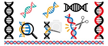 Téléchargez les illustrations : Ensemble d'illustrations vectorielles d'ADN simple - en licence libre de droit