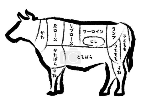 Vector illustration of cow parts