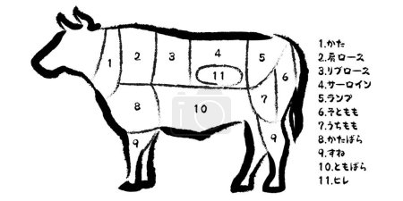 Téléchargez les illustrations : Illustration vectorielle des parties de vache - en licence libre de droit