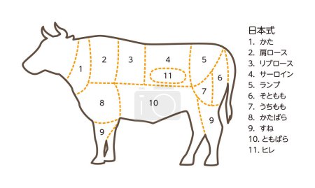 Ilustración vectorial de partes de vaca