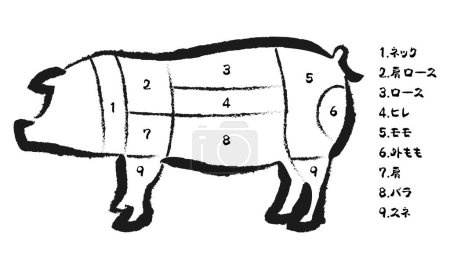 Illustration for Vector illustration of pig parts - Royalty Free Image