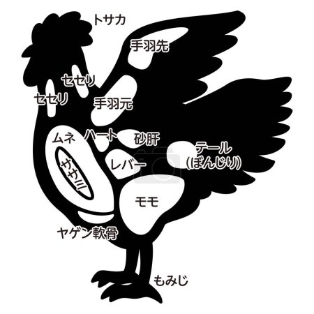 Téléchargez les illustrations : Illustration vectorielle des parties de poulet - en licence libre de droit
